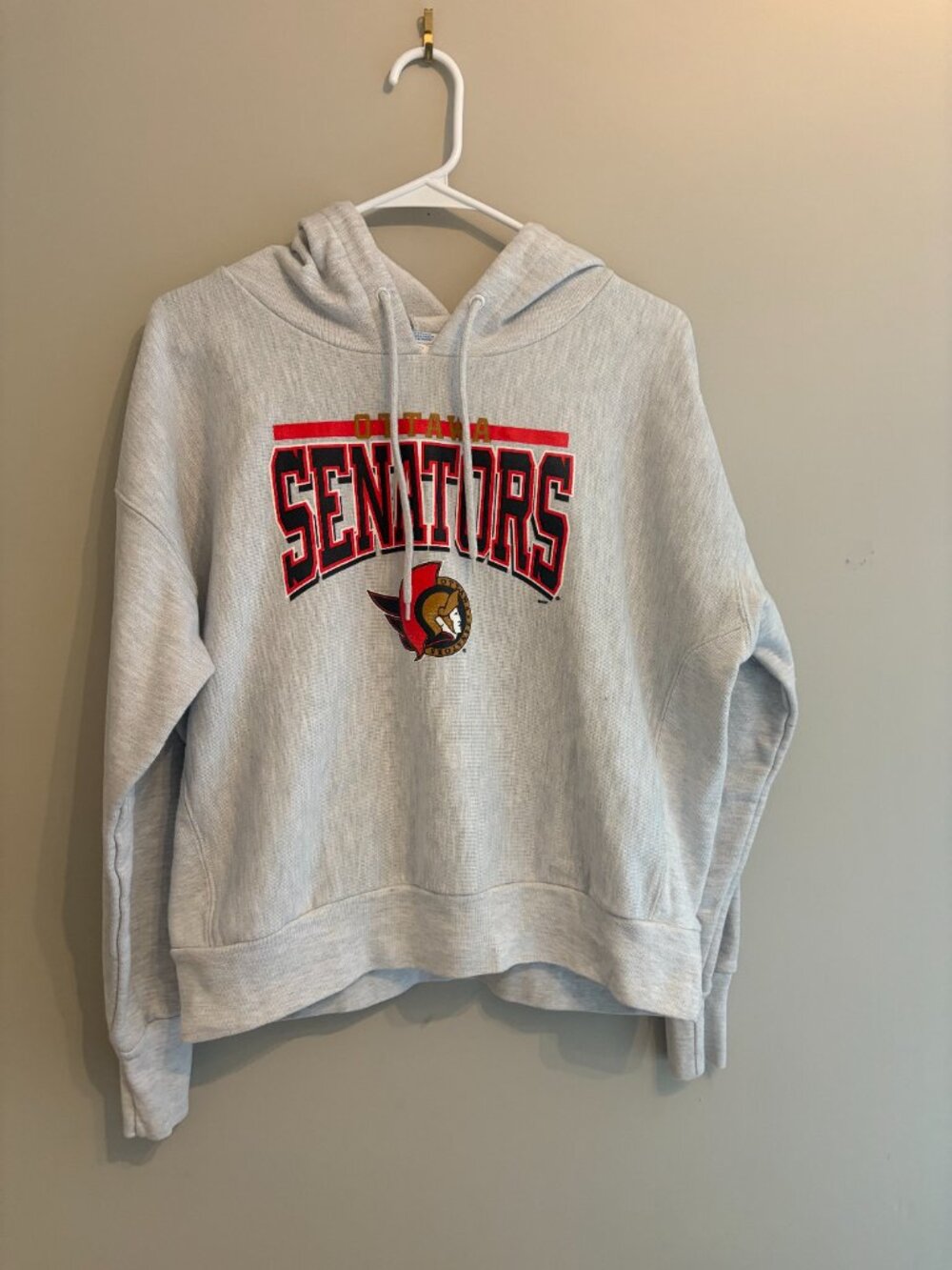 Ottawa Senators Hoodie Gray Pullover NHL Logo Large
